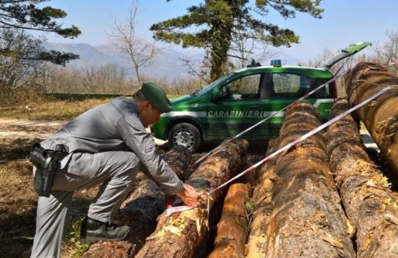 Task force per la sicurezza dei cantieri boschivi della provincia di Belluno