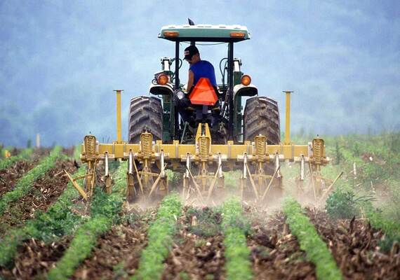 Contratti provinciali per gli operai agricoli, mobilitazione per chiedere aumenti salariali e tutela dei diritti